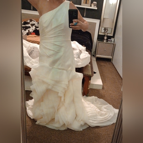 Ivory Organza White by Vera Wang for David's bridal - Picture 13 of 16
